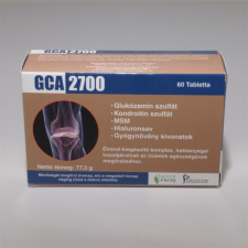  Gca 2700 tabletta 60 db gyógyhatású készítmény