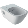 Geberit SELNOVASQUARE FALI WC 35X33X54CM