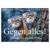 Gegen alles! - Pallaskatzen in ihrer Welt (Tischkalender 2027 DIN A5 quer), CALVENDO Monatskalender – Calvendo,Simone Wunderlich (Naptár)