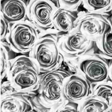 Gekkofix Szürke fehér rózsák öntapadós tapéta tapéta, díszléc és más dekoráció