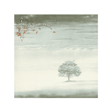  Genesis - Wind & Wuthering (Vinyl LP (nagylemez)) rock / pop