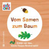Gerstenberg Verlag Vom Samen zum Baum | Leena Flegler
