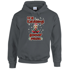 GILDAN Ez a karácsonyi gamer pulcsim (lány) - Unisex Kapucnis Pulóver női pulóver, kardigán