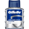 Gillette Sea Mist 100 ml