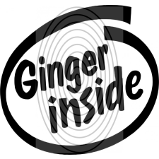  Ginger inside - autómatrica, autódekor autó dekoráció