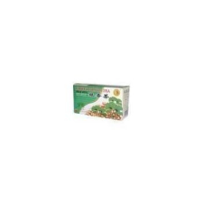  GINKGO BILOBA INSTANT TEA 200 g tea