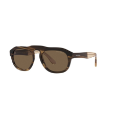 Giorgio Armani AR8173-595873 Férfi napszemüveg napszemüveg