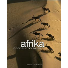 Giovanni Giuseppe Bellani AFRIKA - CSODÁLATOS TÁJAK album