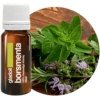 Gladoil Borsmenta illóolaj Gladoil / Fleurita 100% tisztaságú hígítatlan illó olaj 10 ml
