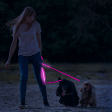 Globiz LED-es póráz - akkumulátoros - 120 x 2,5 cm - rózsaszín nyakörv, póráz, hám kutyáknak