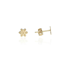Gold earrings for ladies AU86349 - 14 karátos arany női beszúrós fülbevaló fülbevaló