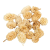 Golddeko Casuarina fehérített 16dkg/csomag