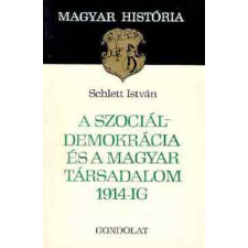 Gondolat Kiadó A szociáldemokrácia és a magyar társadalom 1914-ig (magyar história) antikvárium - használt könyv