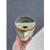  Green Forest Cup TO go