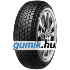 GT Radial WinterPro2 ( 205/65 R15 94T ) téli gumiabroncs