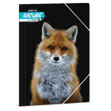  Gumis mappa ARS UNA A/4 Máté Bence-fox mappa