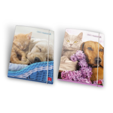  Gumis mappa karton Pigna Dolci Cuccioli A/4 mappa