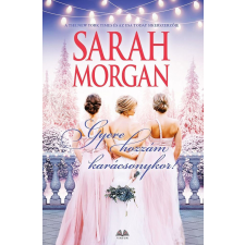  Gyere hozzám Karácsonykor regény