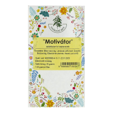 Gyógyfű GYÓGYFŰ MOTIVÁTOR TEA FILTER gyógyhatású készítmény