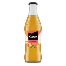 Gyümölcslé CAPPY Őszibarack 40% üveges 0,25L DRS üdítő, ásványviz, gyümölcslé