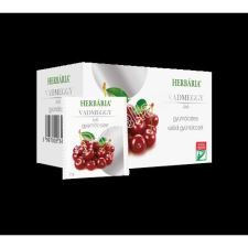  Gyümölcstea Vadmeggy Filt. 20X gyógytea