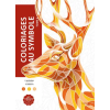 Hachette Heroes Coloriages mystères - Coloriages au symbole - Tome 2 (Könyv)