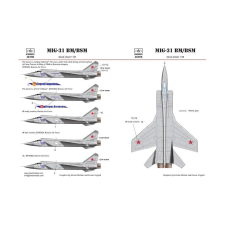 HADMODELS HAD48166 MiG-31 matrica szett 1:48 HAD48166 makett