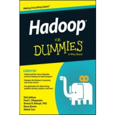  Hadoop For Dummies – Dirk deRoos idegen nyelvű könyv