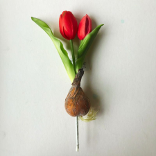  Hagymás tulipán - pink dekoráció