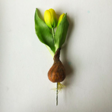 Hagymás tulipán - sárga dekoráció