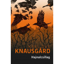 Hajnalcsillag regény