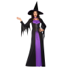 Halloween Boszorkány Classic felnőtt jelmez M/L