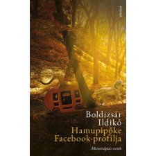  Hamupipőke Facebook-profilja egyéb könyv