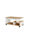 Hanah Home Coffee Table Oak White MIN9-SW