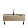  Hanah Home Dohányzóasztal, tölgy, Shp-701-Ff-1