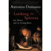 HARCOURT BRACE &amp; CO Looking for Spinoza | Antonio R. Damasio