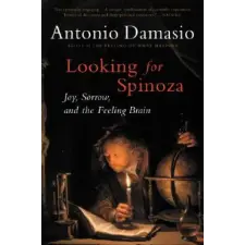 HARCOURT BRACE &amp; CO Looking for Spinoza | Antonio R. Damasio egyéb könyv