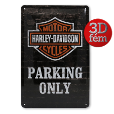  Harley Davidson fémtábla grafika, keretezett kép