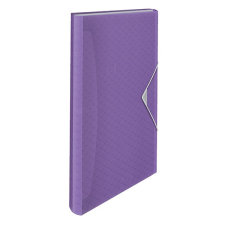 Harmonika mappa ESSELTE Colour Breeze A/4 6 rekeszes levendula mappa