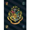  Harry Potter Black polár takaró 100x140cm