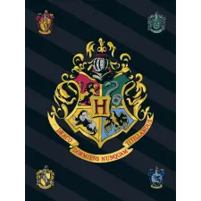  Harry Potter Black polár takaró 100x140cm lakástextília