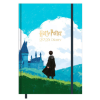  HARRY POTTER - Buchkalender im Format 14,8 x 21