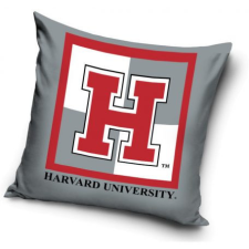 Harvard párnahuzat 40*40 cm lakástextília