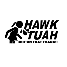  Hawk Tuah matrica autó dekoráció