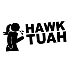 Hawk Tuah matrica autó dekoráció