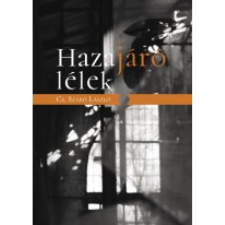 Hazajáró lélek egyéb könyv
