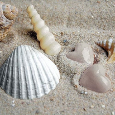 Hearts In Sand papírszalvéta 33x33cm, 20db-os asztalterítő és szalvéta