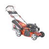Hecht 551 sxe