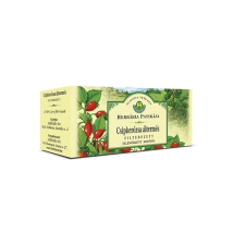 Herbária Herbatea Herbária csipkerózsa áltermés 25x3g gyógytea
