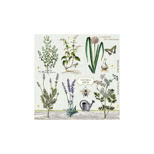 Herbs Garden papírszalvéta 33x33cm,20db-os konyhai eszköz